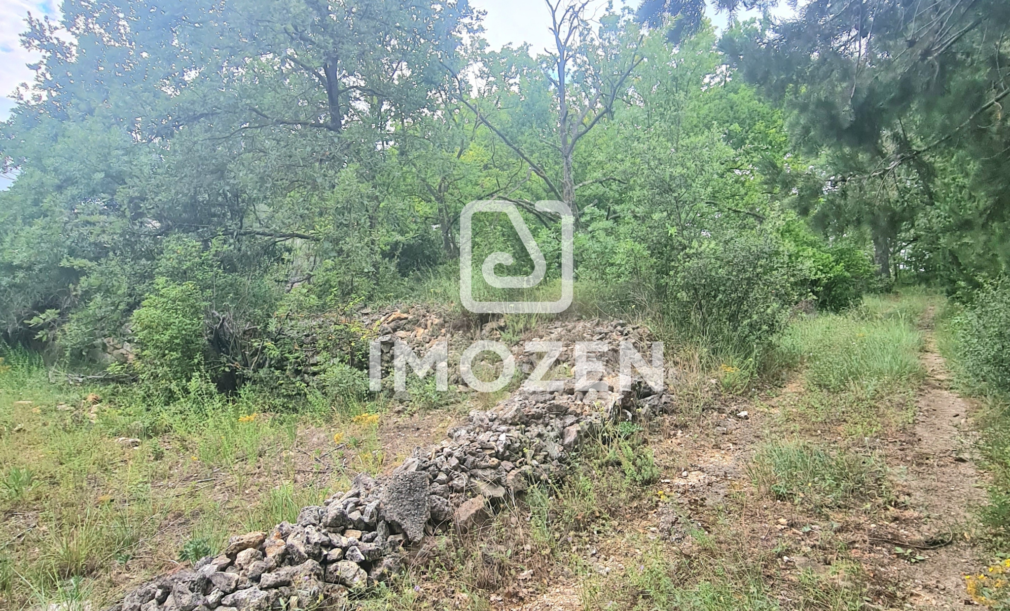 Image_, Terrain, Brignoles, ref :ENVTE190000367