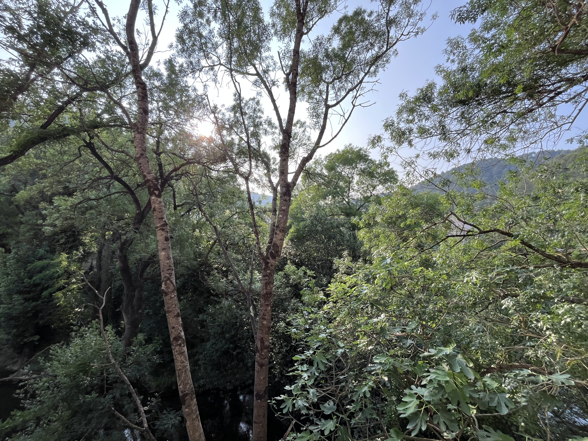 Image_, Appartement, Solliès-Toucas, ref :PCLAP270001180