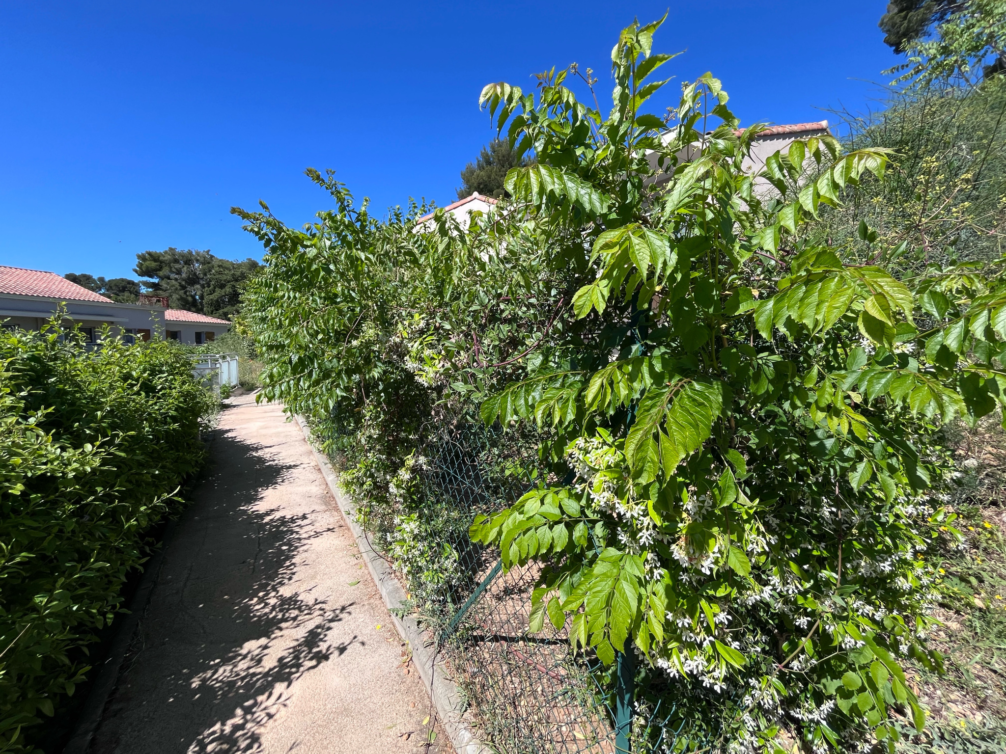 Image_, Rez de jardin, Toulon, ref :PCVRE270001375