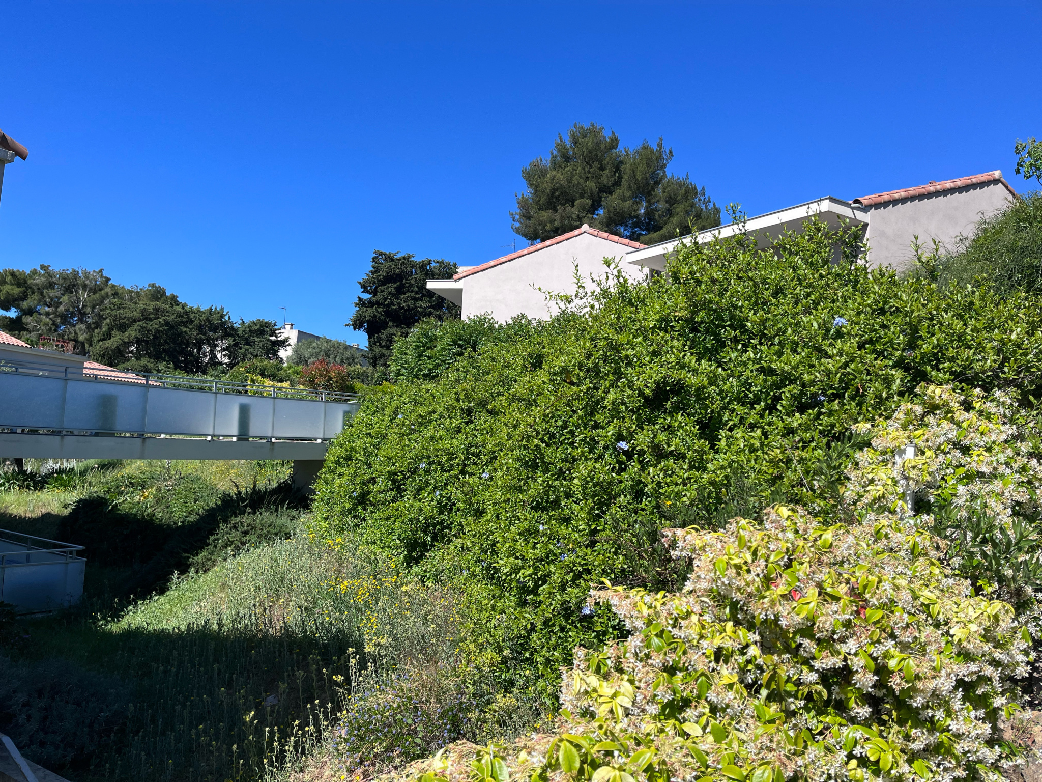 Image_, Rez de jardin, Toulon, ref :PCVRE270001375