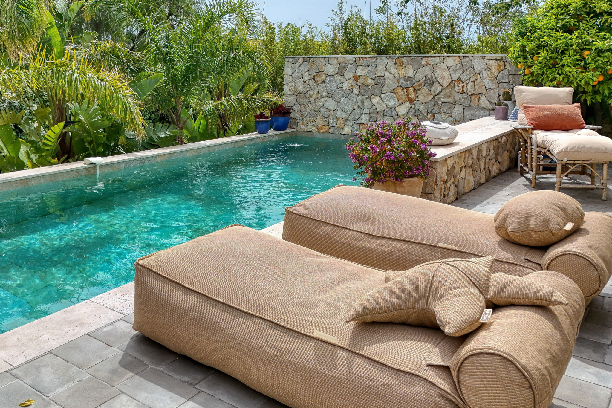 Image_, Bastide, Sanary-sur-Mer, ref :EJVBA230000988