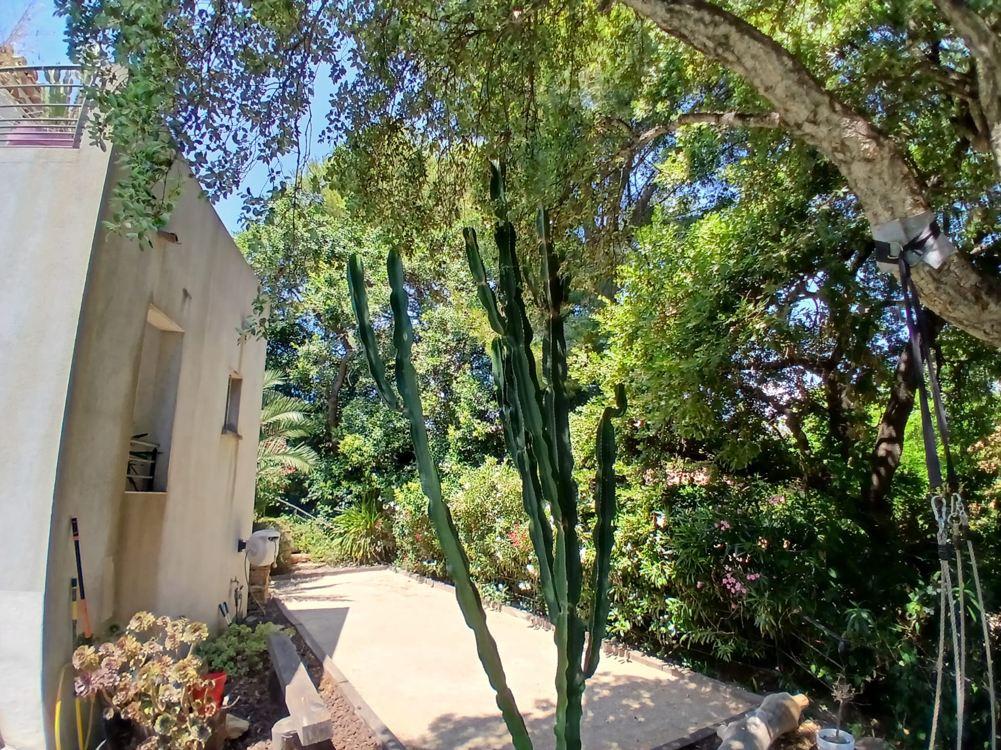 Image_, Villa, Six-Fours-les-Plages, ref :EJVVI230001165