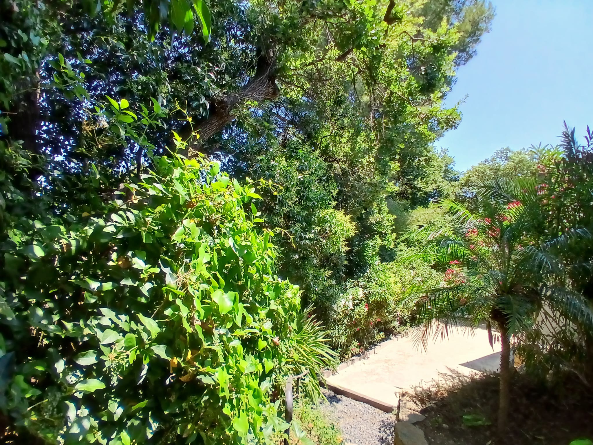 Image_, Villa, Six-Fours-les-Plages, ref :EJVVI230001165