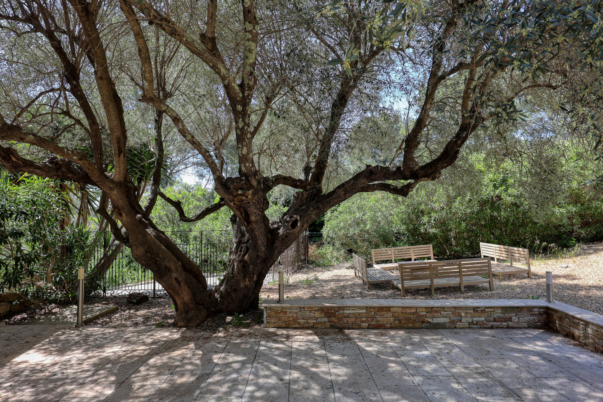 Image_, Propriete, Sanary-sur-Mer, ref :EJVPR230001367
