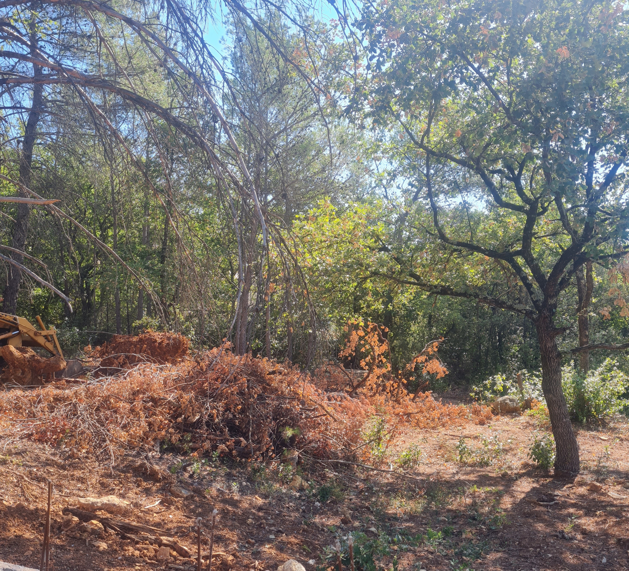 Image_, Terrain à batir, Brignoles, ref :ENVTE190000403