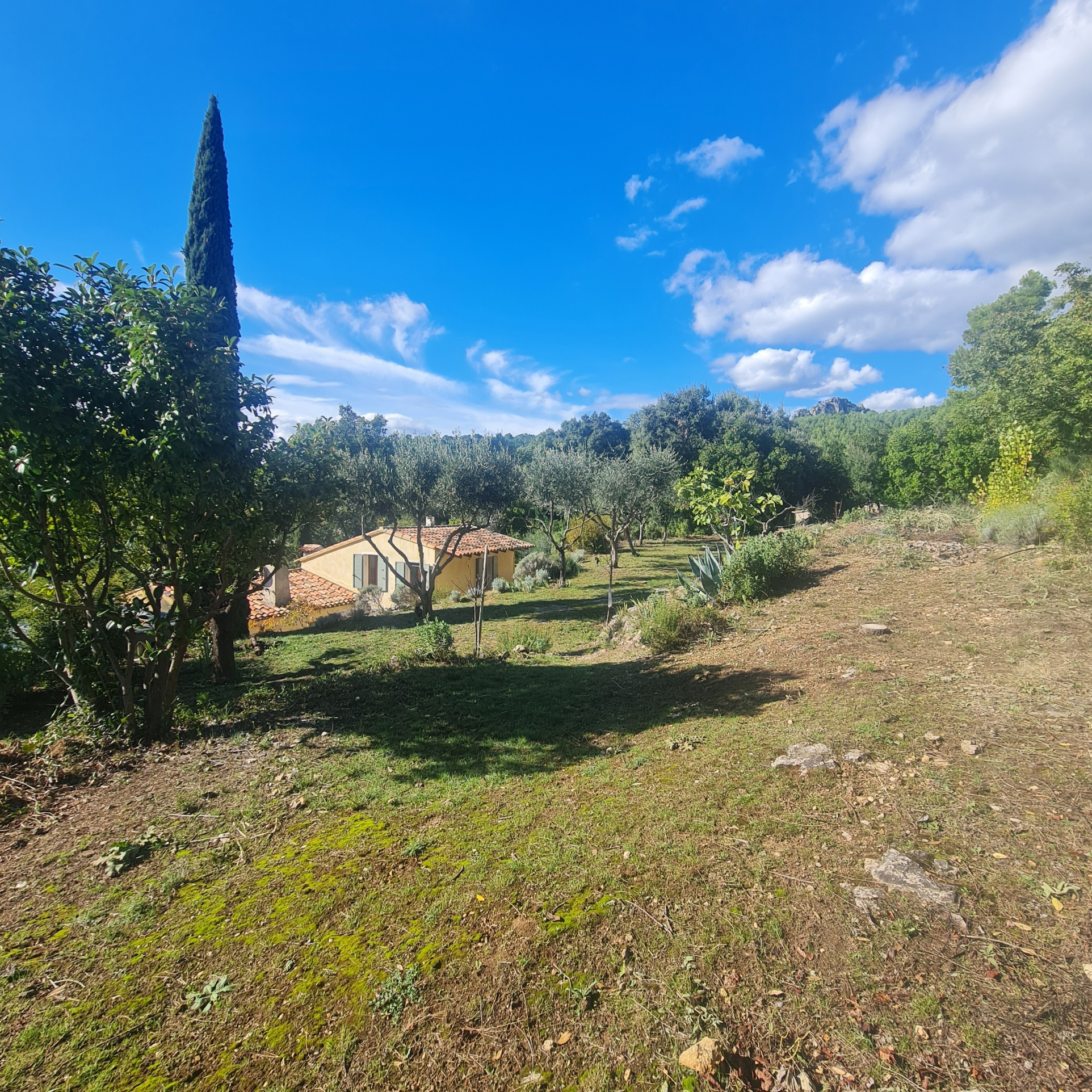Image_, Villa, La Roquebrussanne, ref :ENVVI190000426