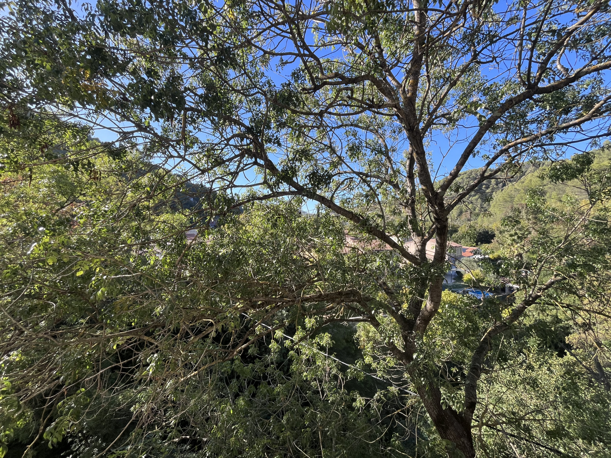 Image_, Appartement, Solliès-Toucas, ref :PCLAP270001250