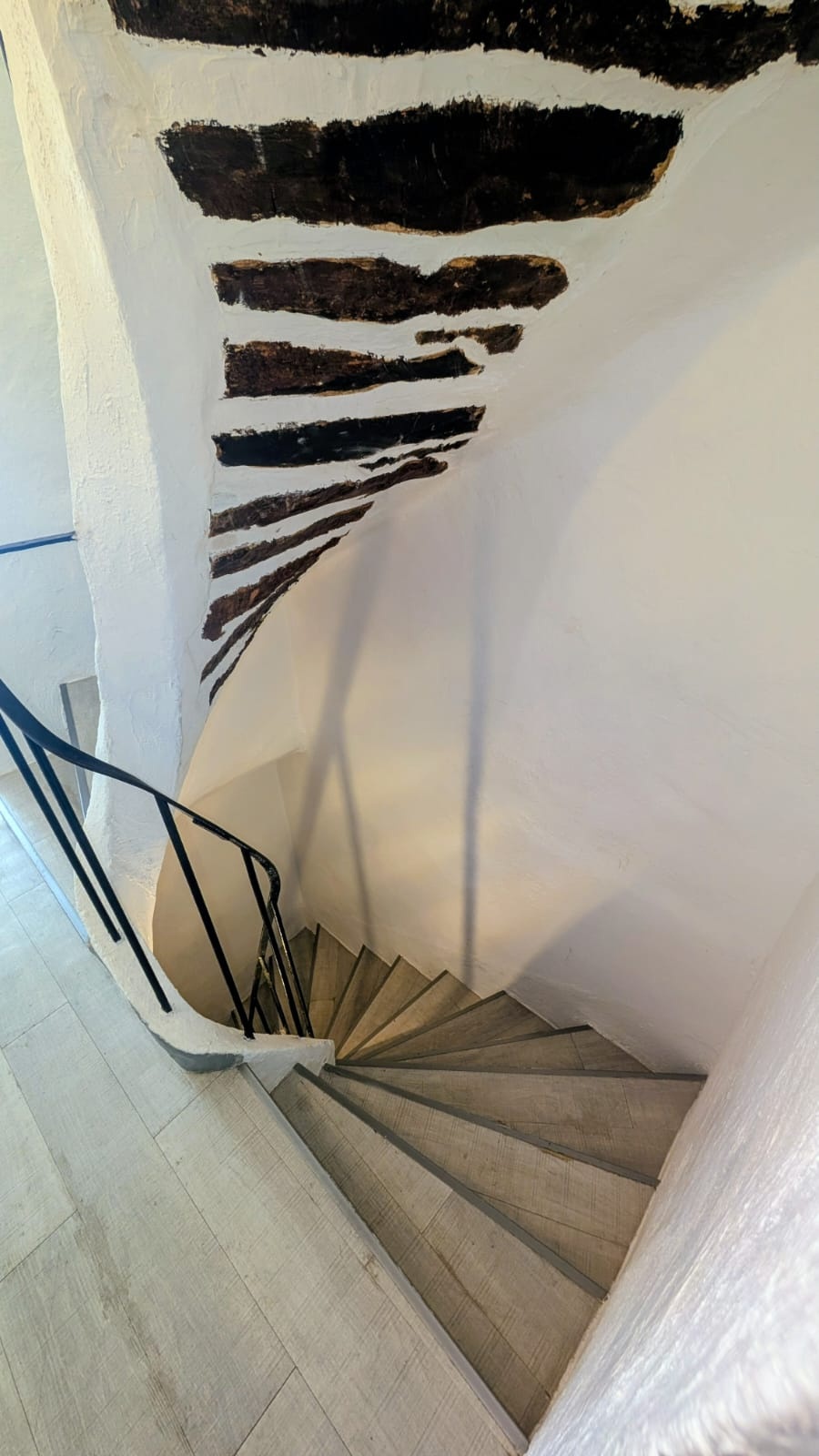 Image_, Appartement, Six-Fours-les-Plages, ref :EJVAP230001254